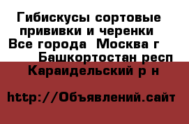 Гибискусы сортовые, прививки и черенки - Все города, Москва г.  »    . Башкортостан респ.,Караидельский р-н